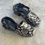 Seychelles NEW  Calming Influence Python Snake Platform Sandals NWOB Size 9 Photo 3