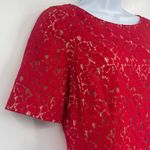 Adrianna Papell  Lace Fit Flare Dress Sz 8 Red Holiday Cocktail Christmas Party Photo 2