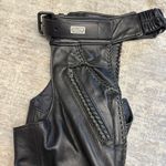 Harley Davidson HD Branded Willie Photo 2