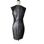 Cache  Animal Print Panel Sheath Dress ZipFront Sz6 Stretchy Office Professional Photo 3