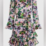SALONI Silk Floral Ruffle Mini Dress Multicolor Light Pink Lined Slip Size 8 Photo 0