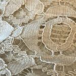 Banana Republic : Silver Dollar Lace 3/4 Length Dress- Cotton Blend- 4 Photo 4