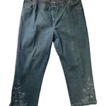Erika  Denim Elastic Waist‎ Embroidery Women’s Pants
Size XL Photo 0