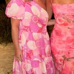 Impeccable Pig Dress Photo 1