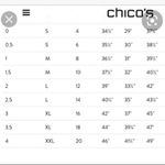 Chico's Chico’s Pink Glitter Semi Sheer Button Up Long Sleeve Blouse Top S Photo 5