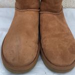 UGG  CLASSIC SHORT ll WATER RESISTANT CHESTNUT Winter Boots Photo 11