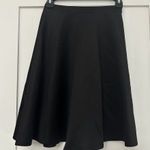 Painted Threads Black Skirt Elastic Waistband Circle Skirt Photo 0