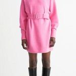 & Other Stories & Other Stories Womens Dress Pink Belted Mini Knit Wool Sweater A Line Small Photo 0