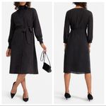 Everlane  The Cupro Blouson Dress Textured Coal Black NEW Photo 1