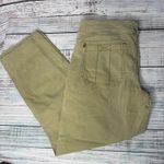 Pilcro The Wanderer Barrel Leg Pants Anthropologie Sage Green 30 Size 10 Photo 7