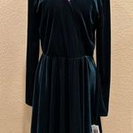 Gianni Bini NWT  Dark Green Ribbed Velvet Long Sleeve Dress - Midnight Glam Photo 1