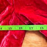 NWT BELTAINE Red Velvet Garnet Tulip Long Sleeve Mini Dress Photo 8