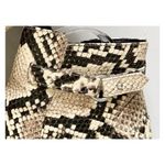 Market & Spruce animal print ankle Boots  6.5 bootie Block Heel Black Beige Snake Photo 7