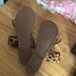 Cheetah Print One Photo 1