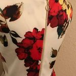 Roz & Ali NWT Retro style garden party dress Photo 6