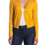 Abound NWT  Pointelle Knit Crop Sweater  S Photo 0