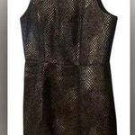Women's 5/48 Metallic Fit and Flare Dress, Size 4, Black and Gold Photo 0