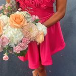 Showpo Dress Photo 1