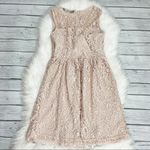ZARA  Lace pink/ Cream A-Line Dress Photo 2