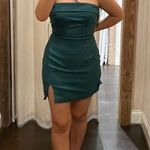 Lizard Thicket mini Dress Photo 0