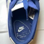 Nike SB Blazer Zoom Low Blue Photo 8