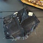 Free People Shorts Photo 0