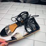 Dolce Vita Black and Snakeskin Strappy Sandals Gladiator Shoes,‎ Size 6 Photo 2