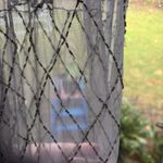 Free People  Dress Womens Size XS Verona Mini Dress Sheer Beaded Gray Slip Photo 4