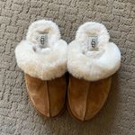 UGG Slippers Photo 0