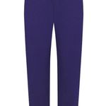 SKIMS Cotton Fleece Classic Jogger in Concord, Size Small Photo 2