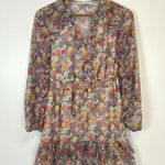 ZARA  Floral Ruffle Dress Photo 0