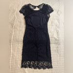 Harper  navy lace dress Photo 5