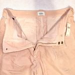 Citizens of Humanity  barrel leg ankle corduroys Light Pink Pleated High Rise Photo 8