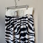 Magic Zebra Stripe Colorful Stretch Midi Skirt Plus 2X NWT  Photo 4