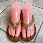 Tory Burch 8 Women Brown Tumbled Leather Gold Disc Logo Thong Sandals Flats Photo 8