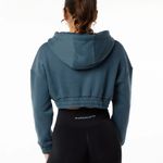 Alphalete Hoodie Photo 2
