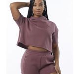 Alphalete  Woman’s  ELMTS Half Sleeve Crop Hoodie - Mauve , Size Small Photo 0