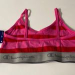 Champion NWT  Red, Pink, & Gray Bralette Medium Sports Bra Photo 1