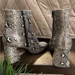 Madden Girl Snakeskin Block Heel Ankle Boots Size 7 1/2 Photo 9