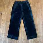 J.Crew velvet black high rise pull on pants size 2 Photo 10