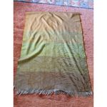 Descours Paris Silky Fringe Scarf Wrap Ombre Green Beige Made in France Photo 2