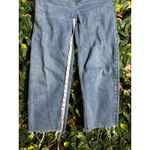 Everlane  The Way High Jean Size 25 Photo 11