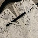 Impeccable Pig White Lace Dress Photo 2