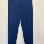 Thirdlove  Blue Ribbed Leggings Photo 4