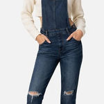 Madewell  Roadtripper‎ Overalls in Brodie Wash Size S Photo 0