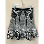 Diane Von Furstenberg  Samara Zebra Tattoo Skirt S Photo 7