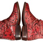 Free People Alamosa Ankle Boots Womens US 6 Red Ref Snake Print Studded Bootie Photo 5