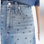 Madewell Skirt Photo 8