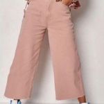 American Eagle Pink Capri Jeans Photo 0