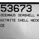 Stauer Oceanus Amphitrite Seashell Gold Finish 16" Yellow Gold Chain Necklace Photo 6